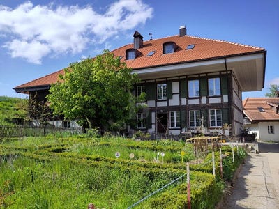 /international/ch/mulchi-mulchi-canton-of-bern-310101274831/?lang=zh-tw