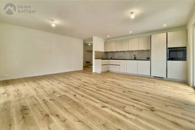 /international/ch/steimet-571-wolflinswil-aargau-310100904877/?lang=en