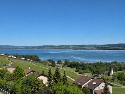/international/ch/bellerive-vd-vaud-310106405052/