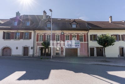 /international/ch/vaud-vallamand-vaud-310107444777/