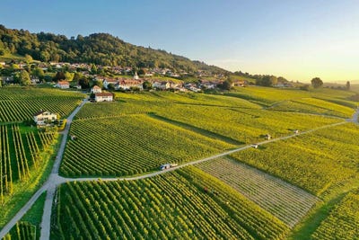 /international/ch/bougy-villars-vaud-310106042724/