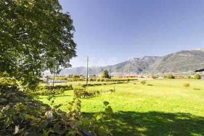 /international/ch/cadenazzo-ticino-310095886551/