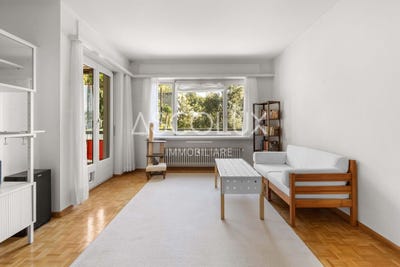 /international/ch/via-delle-palme-4-muralto-ticino-310110412633/