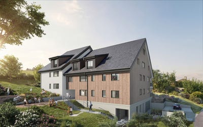 /international/ch/hauptstrasse-25-wildberg-zurich-310107372363/