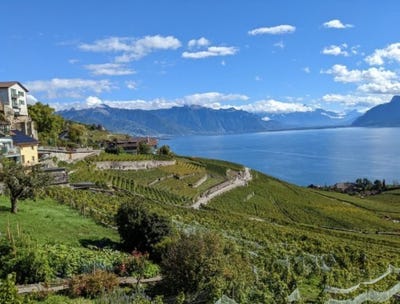 /international/ch/lausanne-chexbres-vaud-310108828414/
