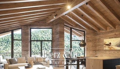 /international/ch/obere-dorfstrasse-saas-fee-valais-310101106602/?lang=zh-cn