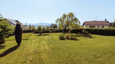 /international/ch/mies-vaud-310107491314/