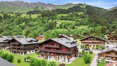 /international/ch/route-du-pillon-64-les-diablerets-vaud-310108940856/