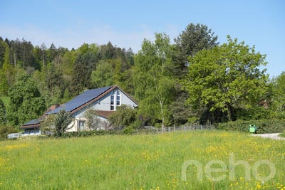 /international/ch/windlach-windlach-zurich-310097768486/?lang=en