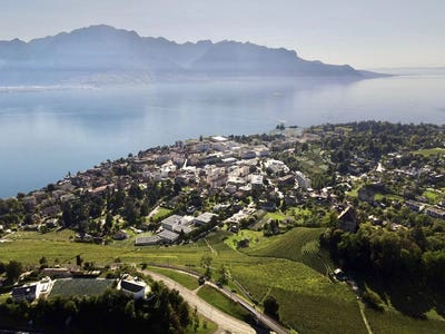 /international/ch/chernex-vaud-310102848143/