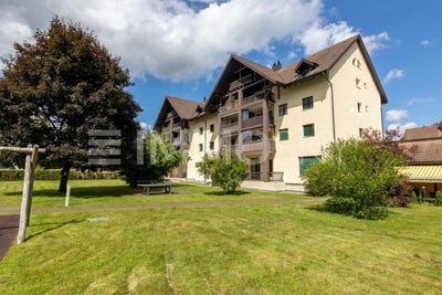 /international/ch/lupfig-aargau-310108003009/