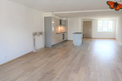 /international/ch/passage-du-portail-2-payerne-vaud-310100903700/