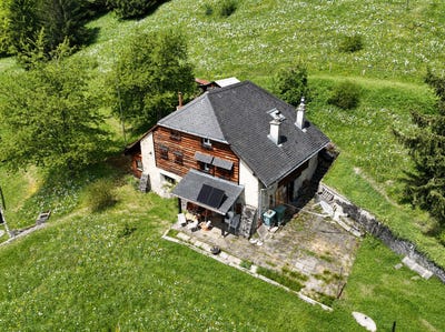 /international/ch/au-coeur-des-narcisses-chamby-vaud-310108319971/