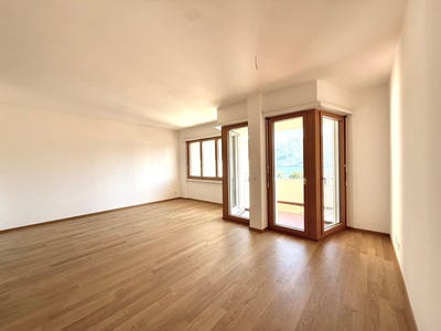 /international/ch/canton-ticino-ticino-310108403132/