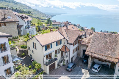 /international/ch/au-coeur-du-bourg-rivaz-vaud-310104594806/
