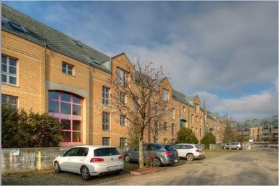 /international/ch/tiergarten-39-burgdorf-canton-of-bern-310101555302/?lang=de