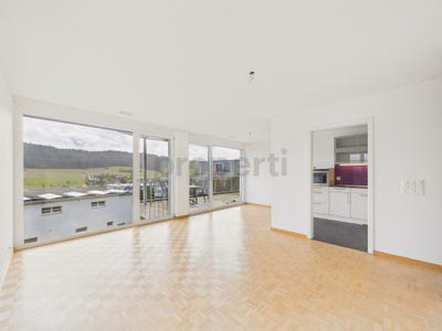 /international/ch/safenwil-aargau-310108047911/