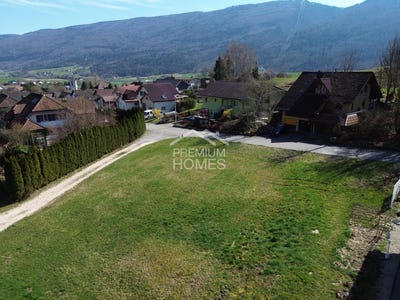 /international/ch/balsthal-canton-of-solothurn-310108891476/?lang=zh-cn