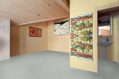 /international/ch/chateau-d-oex-vaud-310101946537/