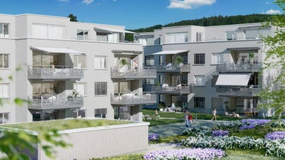 /international/ch/zurichstrasse-50-hinwil-zurich-310105402390/