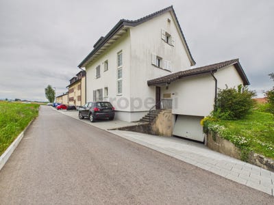 /international/ch/ins-canton-of-bern-310107640528/