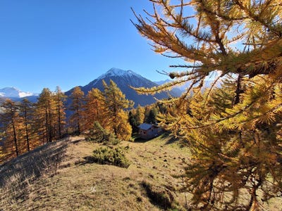 /international/ch/chemin-dessus-chemin-dessus-valais-310108051109/
