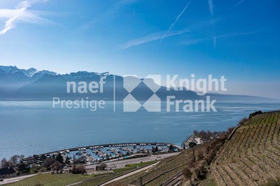 /international/ch/vaud-corseaux-vaud-310107470121/