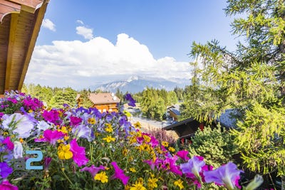 /international/ch/chemin-des-coccinelles-12-crans-montana-valais-310100910253/