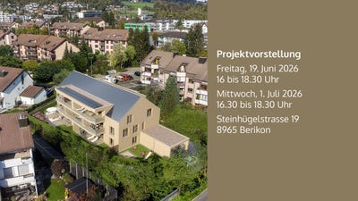 /international/ch/steinhugelstrasse-19-berikon-aargau-310107560878/