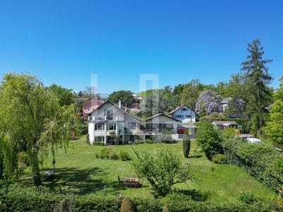/international/ch/mies-vaud-310108323767/