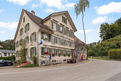 /international/ch/blitterswilerstrasse-1-saland-zurich-310103442943/