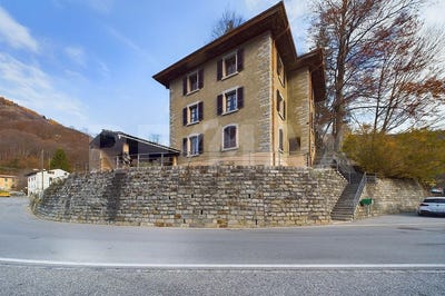 /international/ch/maglio-di-colla-maglio-di-colla-ticino-310097818026/