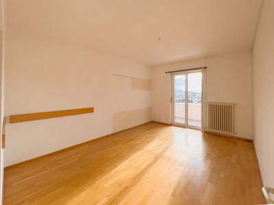 /international/ch/bellinzona-ticino-310100904420/