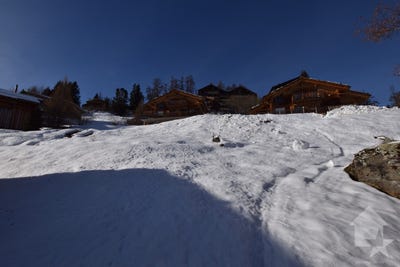 /international/ch/les-collons-les-collons-valais-310106078837/