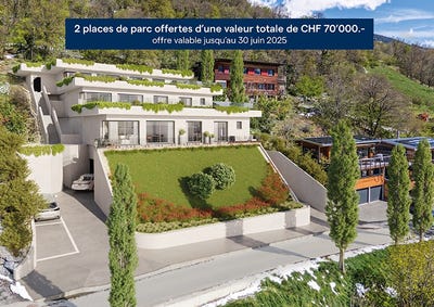 /international/ch/route-de-monteiller-47-saviese-valais-310100909985/?lang=zh-cn