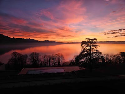 /international/ch/chexbres-chexbres-vaud-310107578515/