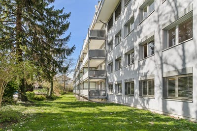 /international/ch/im-struppen-11-zurich-zurich-310106481315/