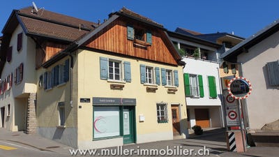 /international/ch/blonay-vaud-310101485536/