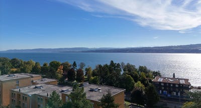 /international/ch/rue-des-colombaires-grandson-vaud-310104286174/