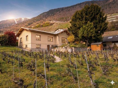 /international/ch/route-de-la-vidondee-16-martigny-croix-valais-310106936234/