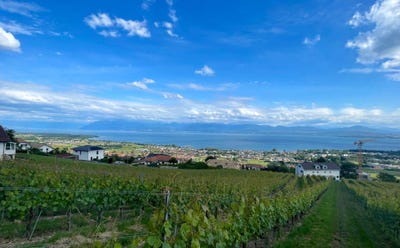 /international/ch/aubonne-vaud-310105406553/