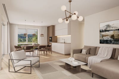 /international/ch/birchweg-16-schaffhausen-canton-of-schaffhausen-310100988970/