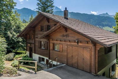 /international/ch/barboleuse-gryon-vaud-310100911434/