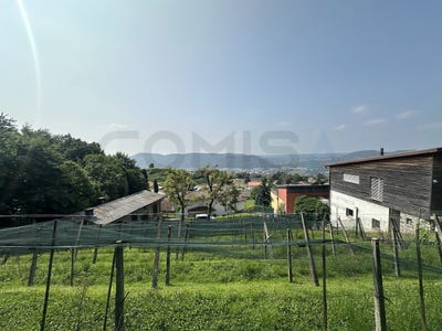 /international/ch/obino-castel-san-pietro-ticino-310103486925/