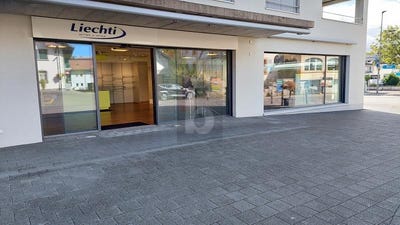 /international/ch/ins-ticino-310101173272/?lang=zh-tw