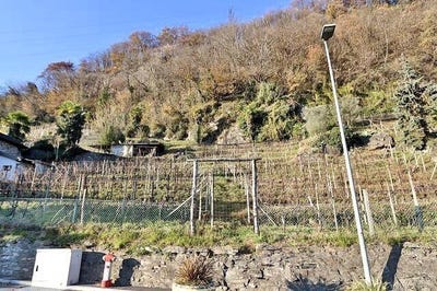/international/ch/sementina-ticino-310100934189/