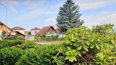/international/ch/busswil-be-canton-of-bern-310100787013/?lang=zh-tw