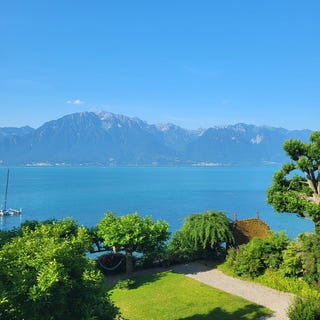 /international/ch/route-de-saint-maurice-228-la-tour-de-peilz-vaud-310100905935/