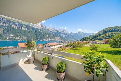 /international/ch/unterterzen-st-gallen-310106993590/