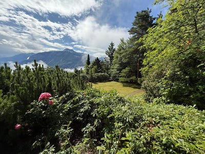 /international/ch/route-des-tsamplans-8-crans-montana-valais-310102513392/